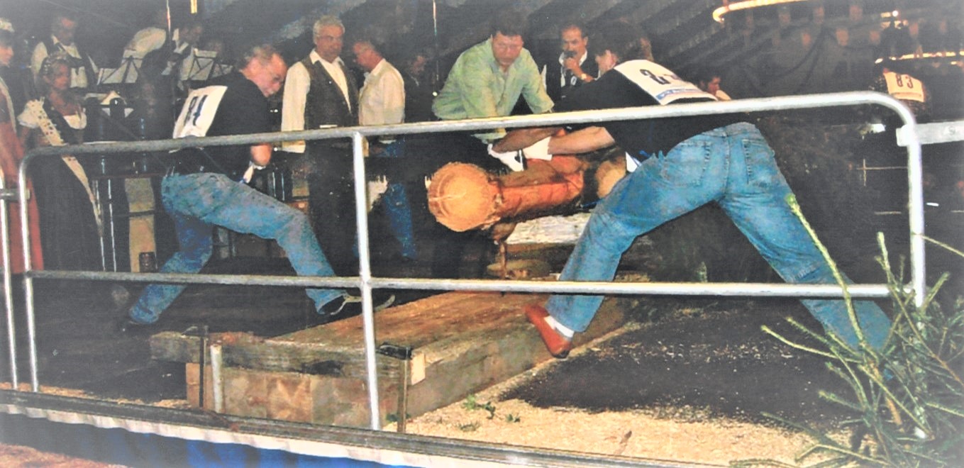 Holzsägen Gillamoos 2