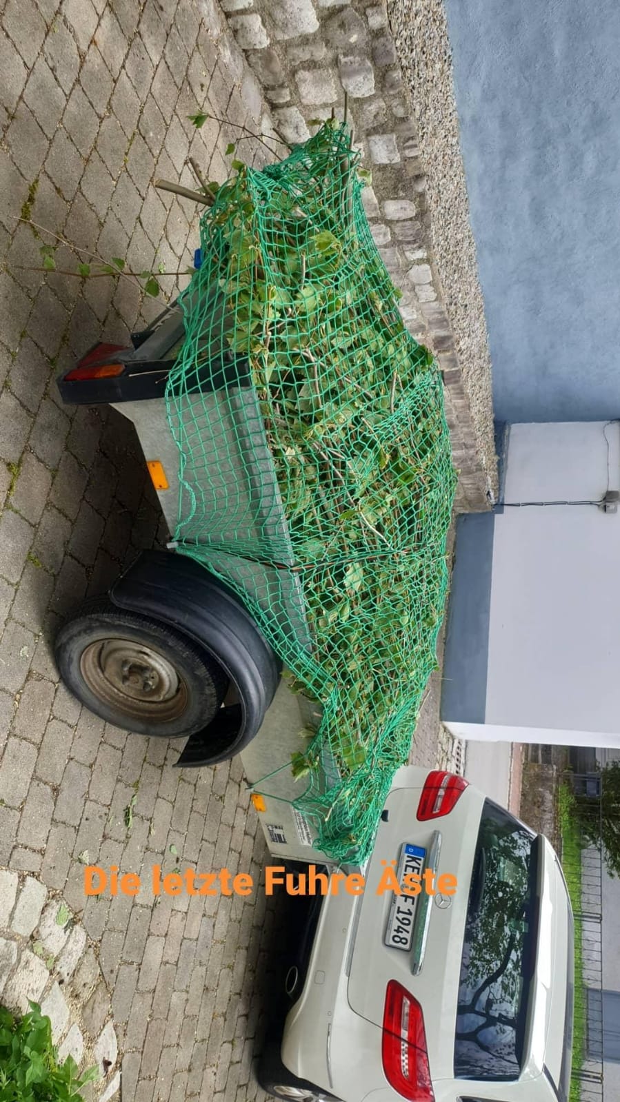 Baumschneiden Abfuhr