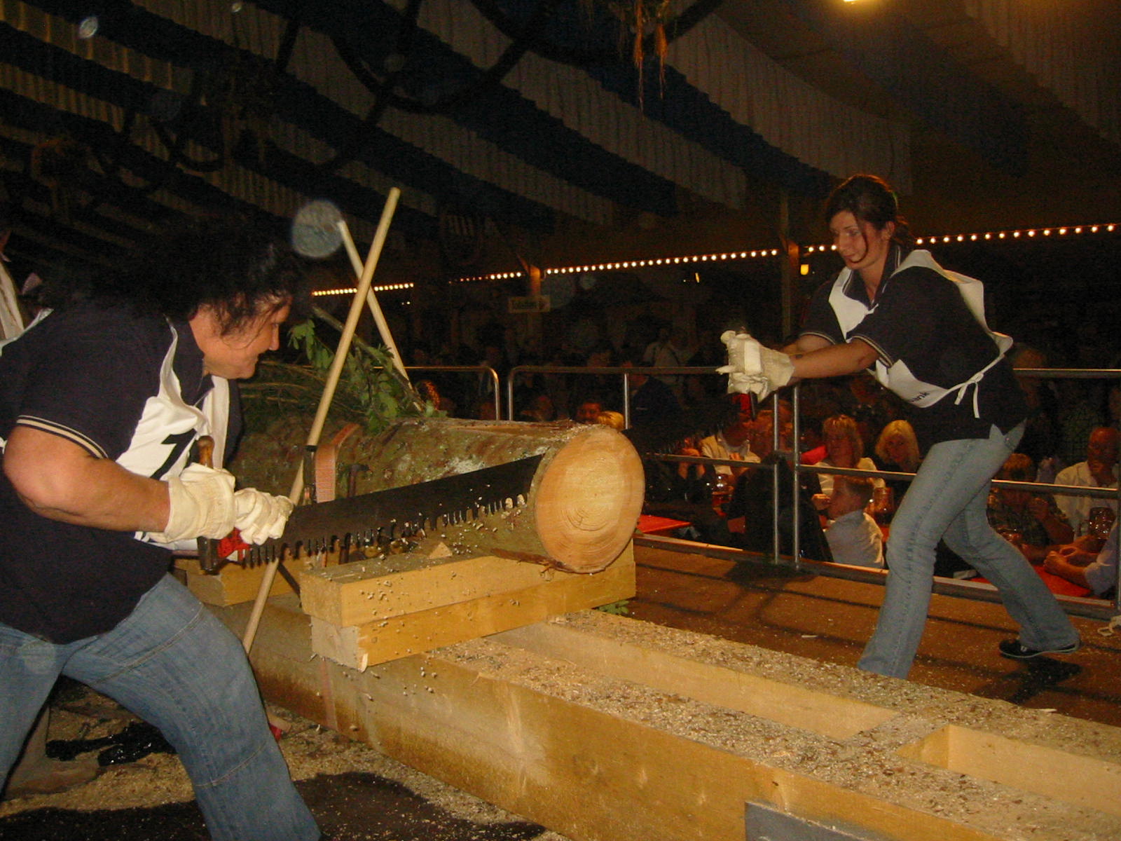 Billardfreunde 2010 040