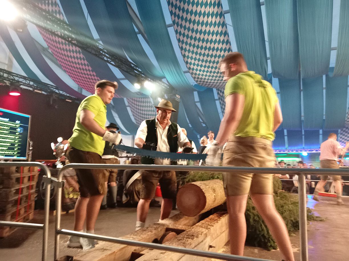 Holzsägen Daniel und Thomas klein