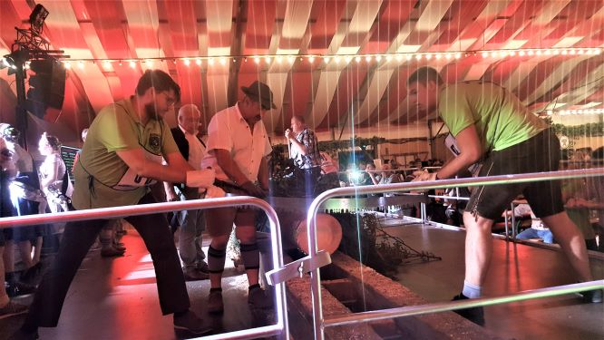 Holzsägen Daniel und Andy ziagtz o