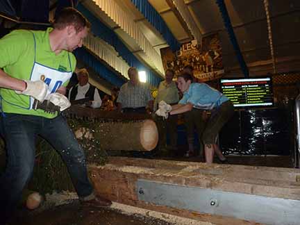 Holzsägen am Gillamoos klein 4.9.14 007